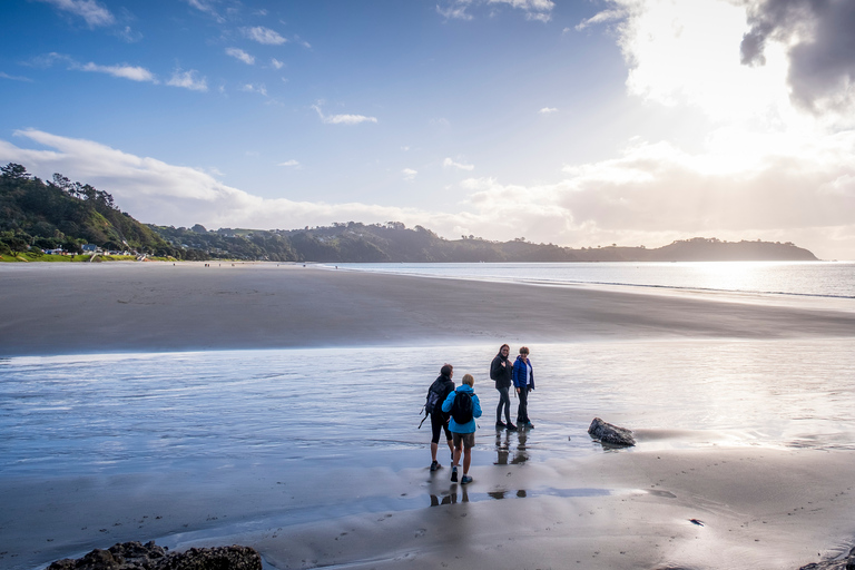 Waiheke Island: Skog och strand: Guidad promenad i premiumklassWaiheke Island: Skog och strand - guidad promenad