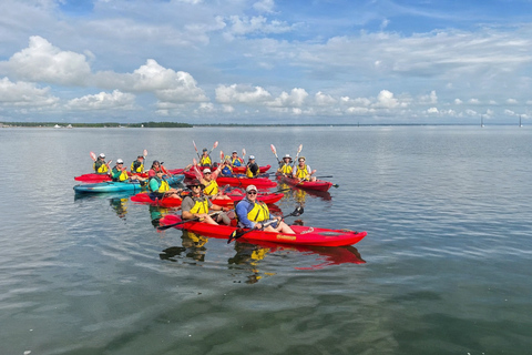 Florida: Indian River Daytime Manatee and Dolphin Kayak Tour Clear Bottom Kayak Day Tour