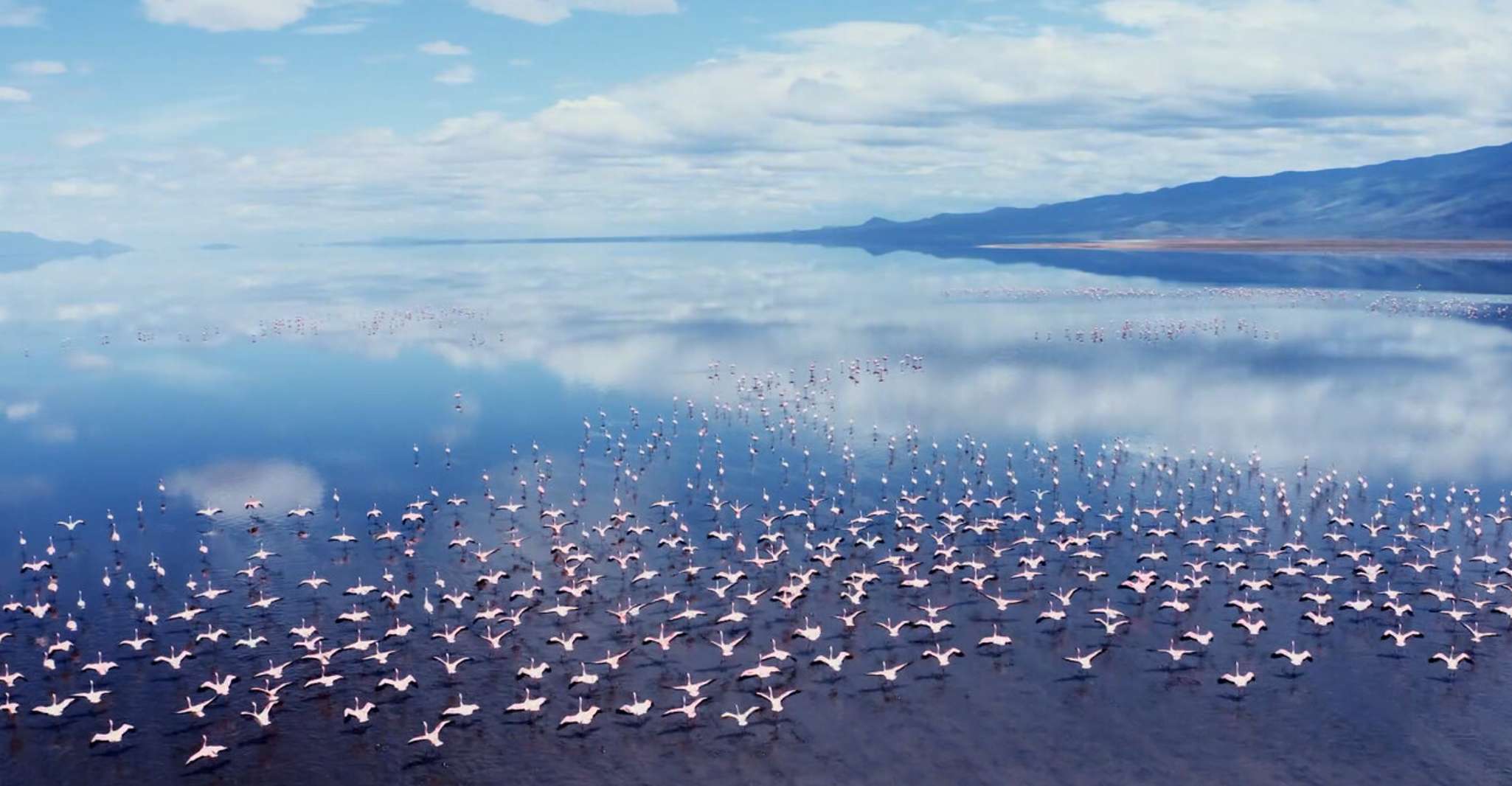 Полный африканский сафари-тур - Hizvo