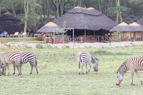 Kompletna wycieczka safari po Afryce