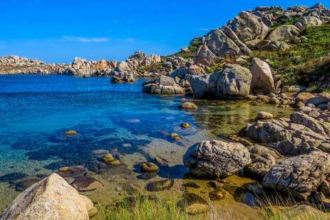 From Palau: Corsican Archipelago Half-Day RIB Boat Trip