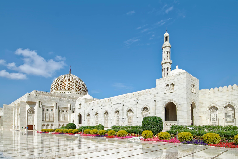 Mascate: tour della moschea del sultano Qaboos e del museo Bait Al Zubair