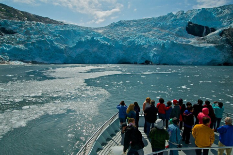 From Whittier: Glacier Quest Cruise with Onboard Lunch From Anchorage: Glacier Quest Cruise Roundtrip Transporation