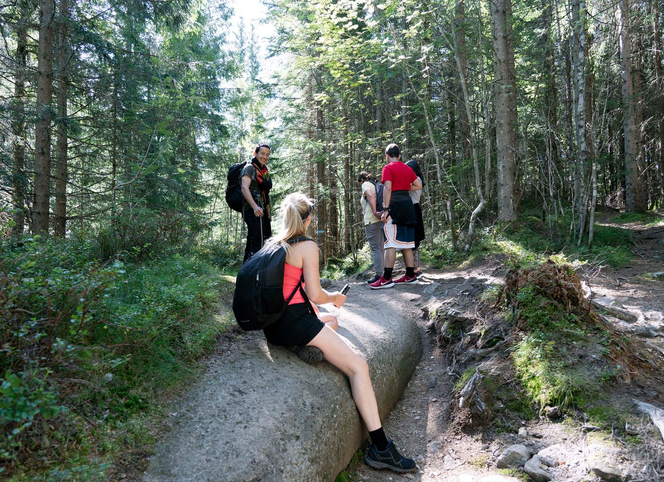 Oslo: Vettakollen-vandring med udsigt over Oslofjorden