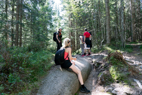 Oslo: Frognerseteren and Vettakollen Hiking Excursion