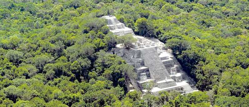 From Campeche: Calakmul Guided Nature and History Day Trip