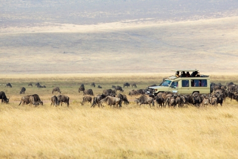 Safari de 4 jours au Masai Mara pour la Grande Migration des gnous