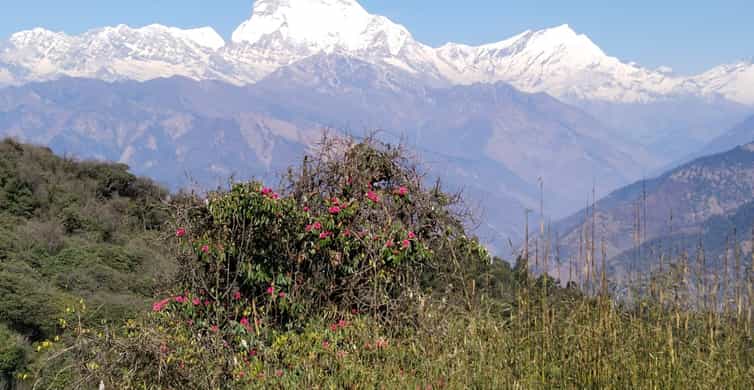 BESTE Natur und Abenteuer Annapurna Circuit 2023 KOSTENLOS