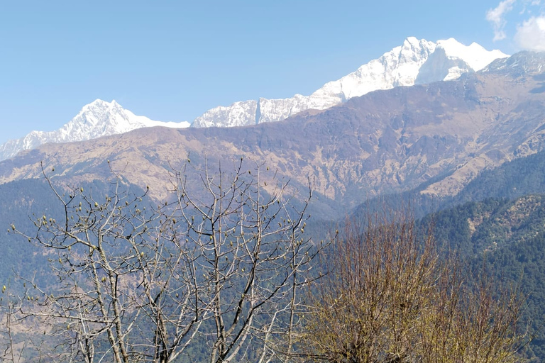 De Pokhara: Caminhada de 4 dias pelo Annapurna e Poon Hill no HimalaiaDe Pokhara: Annapurna de 4 dias e Poon Hill Himalayan Trek