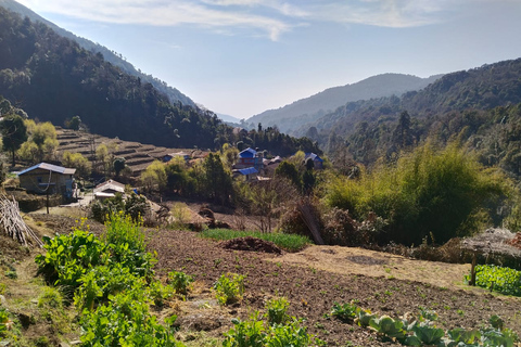 De Pokhara: Caminhada de 4 dias pelo Annapurna e Poon Hill no HimalaiaDe Pokhara: Annapurna de 4 dias e Poon Hill Himalayan Trek