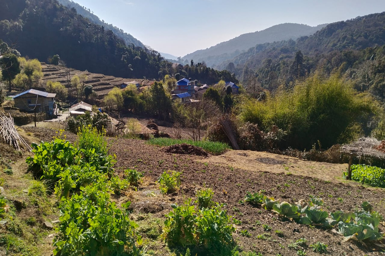 De Pokhara: Caminhada de 4 dias pelo Annapurna e Poon Hill no HimalaiaDe Pokhara: Annapurna de 4 dias e Poon Hill Himalayan Trek