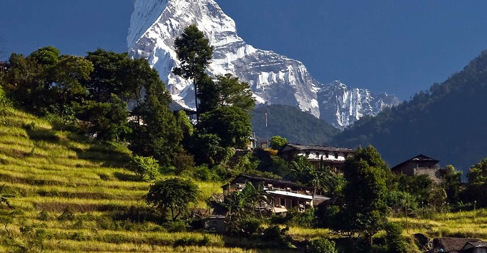 Pokhara, Australian Base Camp Day Hike - Hizvo
