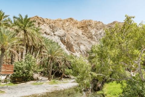 Ab Muscat: Norddünen und Wadi Hot Spring Tour mit Mittagessen