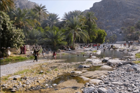 Ab Muscat: Norddünen und Wadi Hot Spring Tour mit Mittagessen