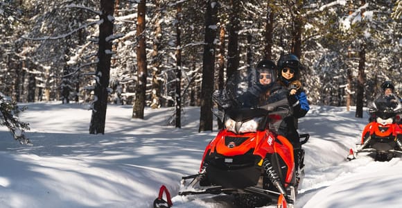 Rovaniemi: Schneemobilsafari in den Polarkreiswald
