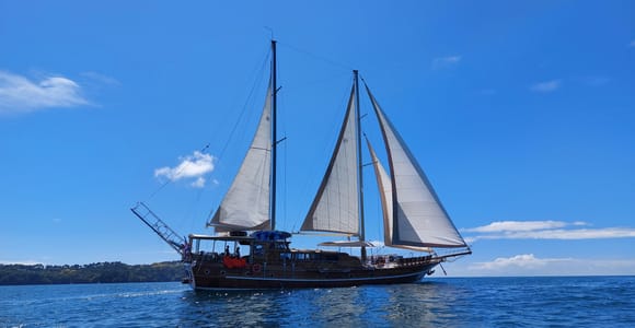 Quepos: Wooden Sail Yacht Cruise with Watersports and Food