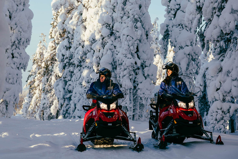 Rovaniemi: Passeio de aventura em motos de neve somente para adultosSnowmobile duplo