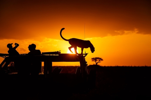 5-dniowe fotograficzne safari jeepem w Parku Narodowym Masai Mara