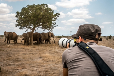 5-dniowe fotograficzne safari jeepem w Parku Narodowym Masai Mara
