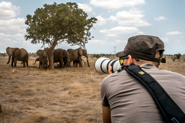 5-dniowe fotograficzne safari jeepem w Parku Narodowym Masai Mara