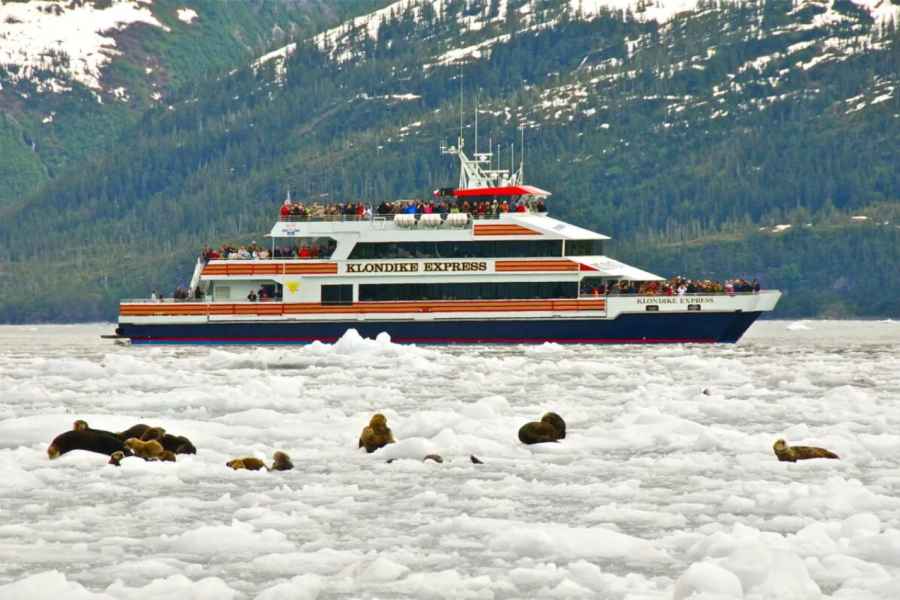 Von Whittier/Anchorage: Prince William Sound Gletscherkreuzfahrt. Foto: GetYourGuide