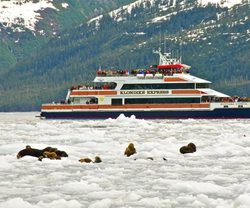 From Whittier/Anchorage: Prince William Sound Glacier Cruise