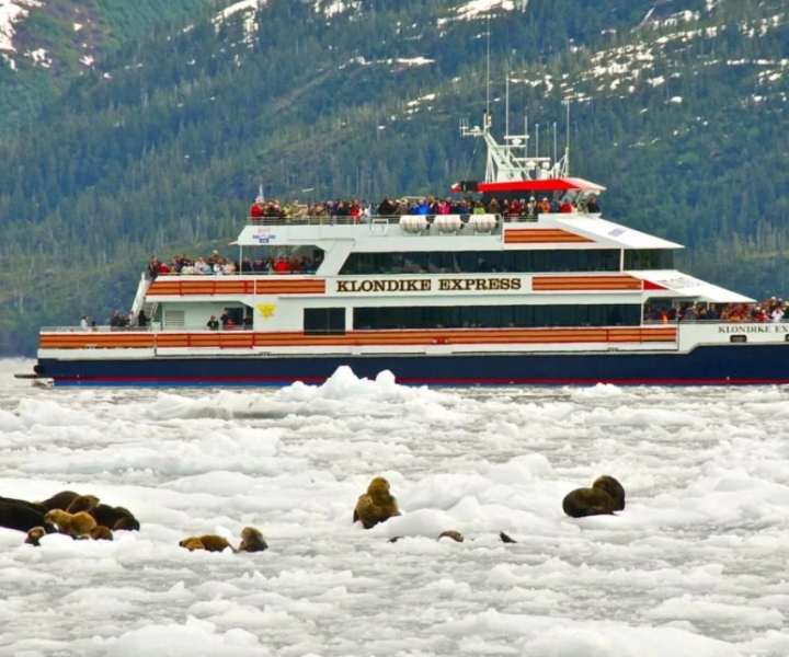 From Whittier/Anchorage: Prince William Sound Glacier Cruise