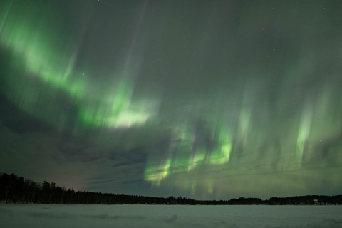 Rovaniemi: Wyprawa na skuterach śnieżnych w poszukiwaniu zorzy polarnejWspólna jazda dla 2 osób dorosłych na skuter śnieżny