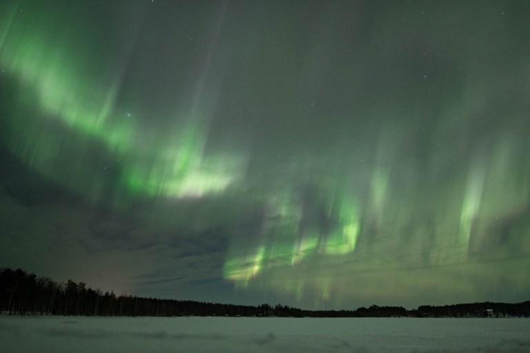 Rovaniemi : Excursion en motoneige à la recherche d&#039;aurores boréalesConduite simple 1 adulte par motoneige