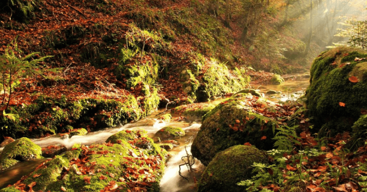 Pizzo Parco Archeologico Di Scolacium E Parco Naturale Delle Serre