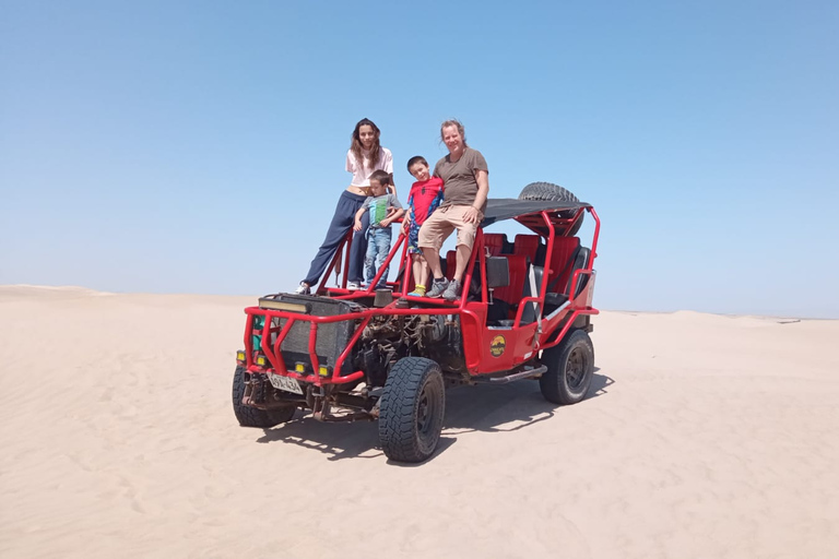 Från Paracas: Mini Buggy Tour &amp; Sandboarding på Oasis