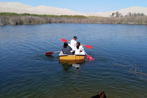 Van Paracas: Mini Buggy Tour & Sandboarden bij Oasis