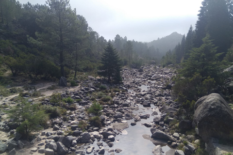 Van Porto: begeleide wandeling naar het Gerês-park