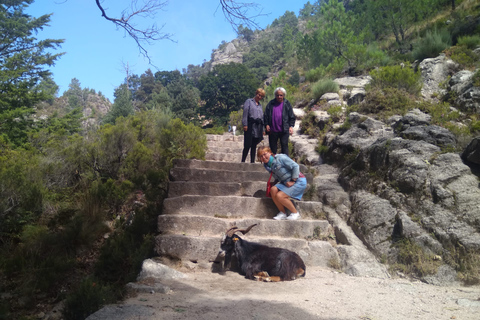 Van Porto: begeleide wandeling naar het Gerês-park