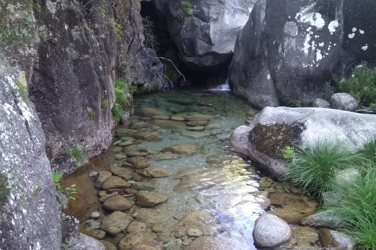 Do Porto: Caminhada guiada ao Parque do Gerês