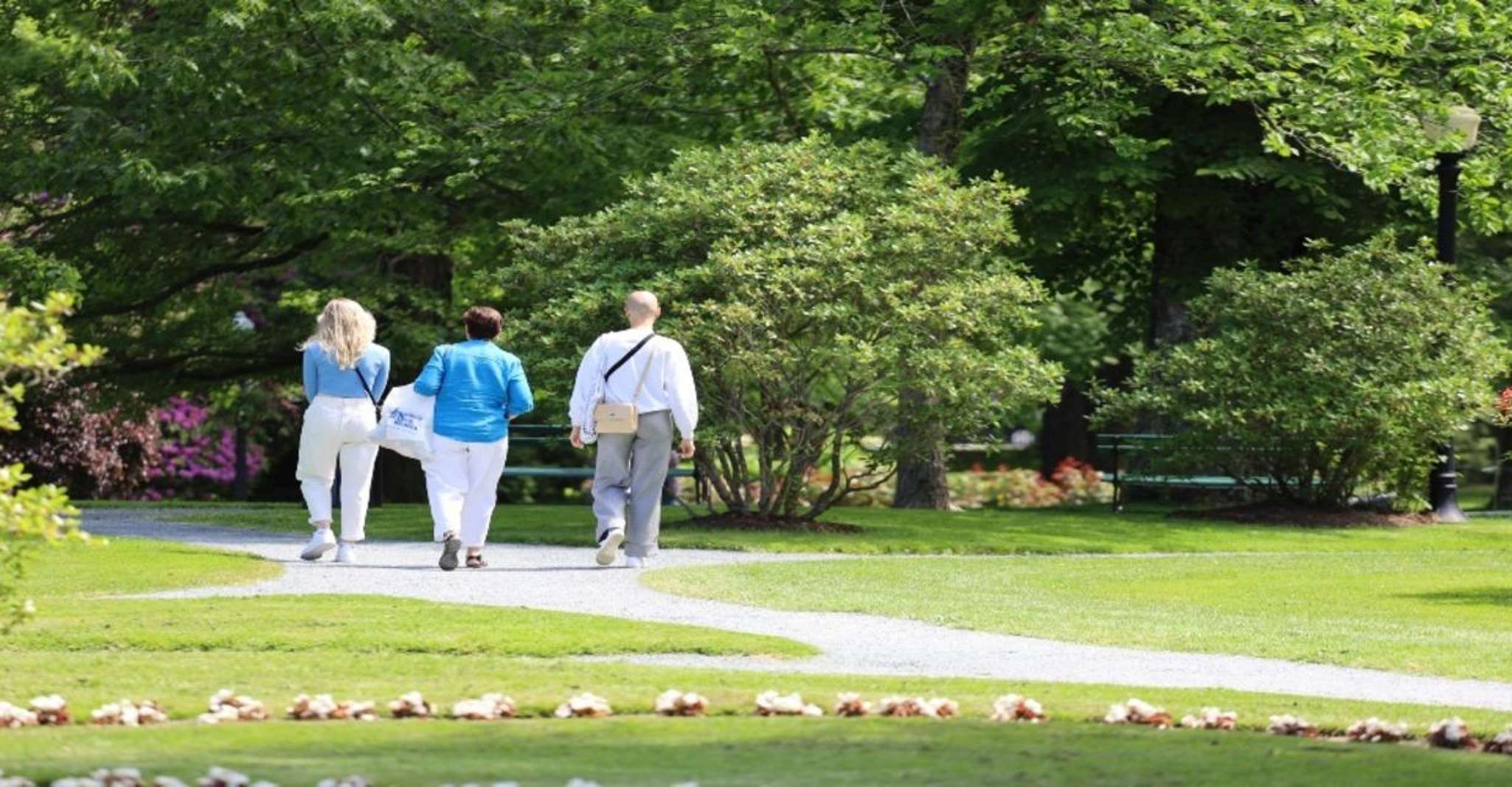 Halifax, kleine Gruppenwanderung mit Zitadelle & Museum - Hizvo