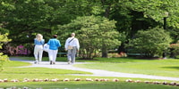 Halifax, tour a pie en grupo pequeño con Ciudadela y Museo - Hizvo