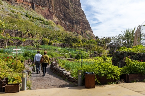 Madeira: Faja dos Padres privérondritTour met het ontmoetingspunt van de haven van Funchal