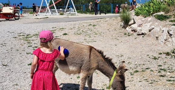 Šmrika (bei Rijeka/Krk/Crikvenica) Eselhof Familienspaß Šmrika (bei Rijeka/Krk/Crikvenica) Eselhof Familienspaß