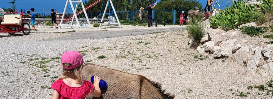 Šmrika (près de Rijeka/Krk/Crikvenica) Ferme de l'âne Amusement familial