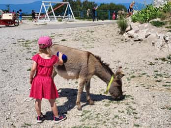 Šmrika (near Rijeka/Krk/Crikvenica) Donkey Farm Family Fun