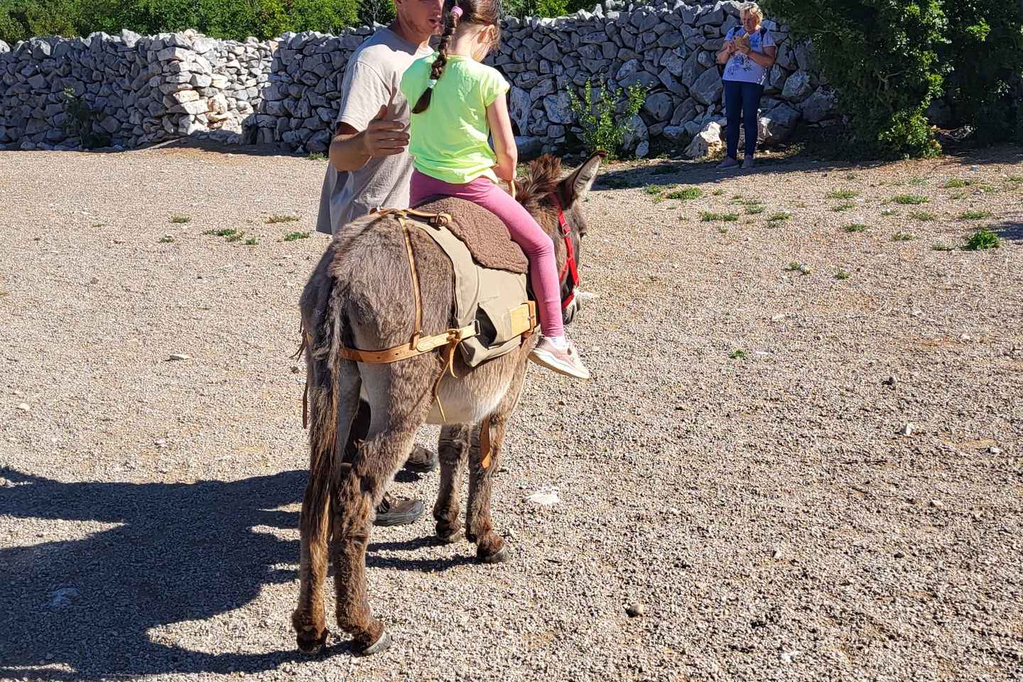 Šmrika (cerca de Rijeka/Krk/Crikvenica) Boleto de Entrada a la Granja de Burros