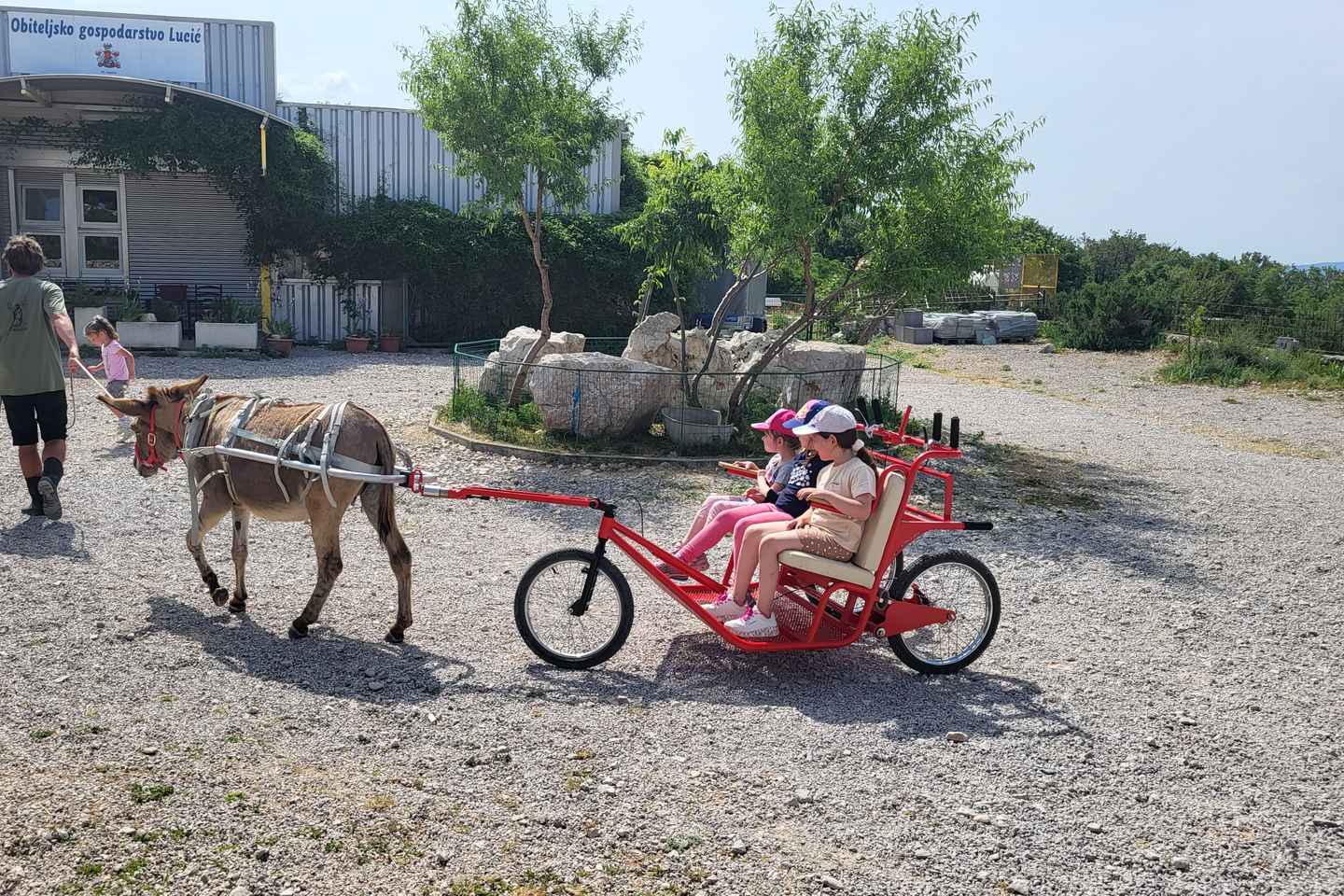 Šmrika (cerca de Rijeka/Krk/Crikvenica) Boleto de Entrada a la Granja de Burros