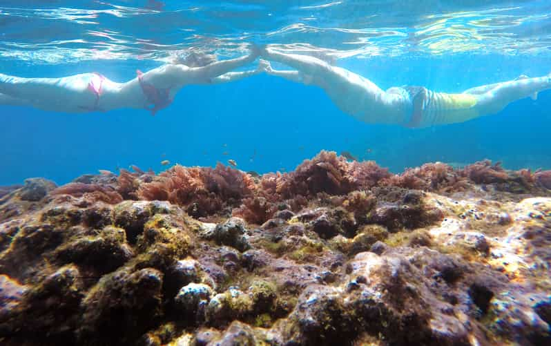 Madeira: Garajau Marine Reserve Guided Snorkeling Tour | GetYourGuide