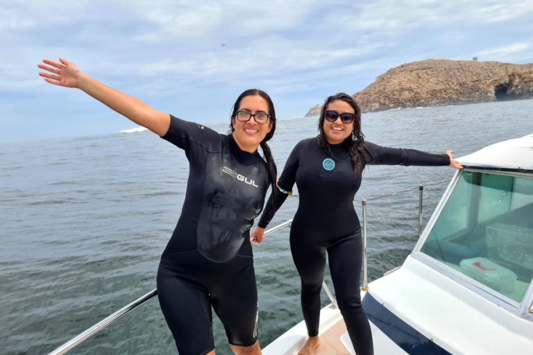 Lima: Schwimmabenteuer im Meer mit verspielten Seelöwen