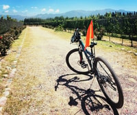 BikeTour- Wineries & Chocolate Factory - Housity