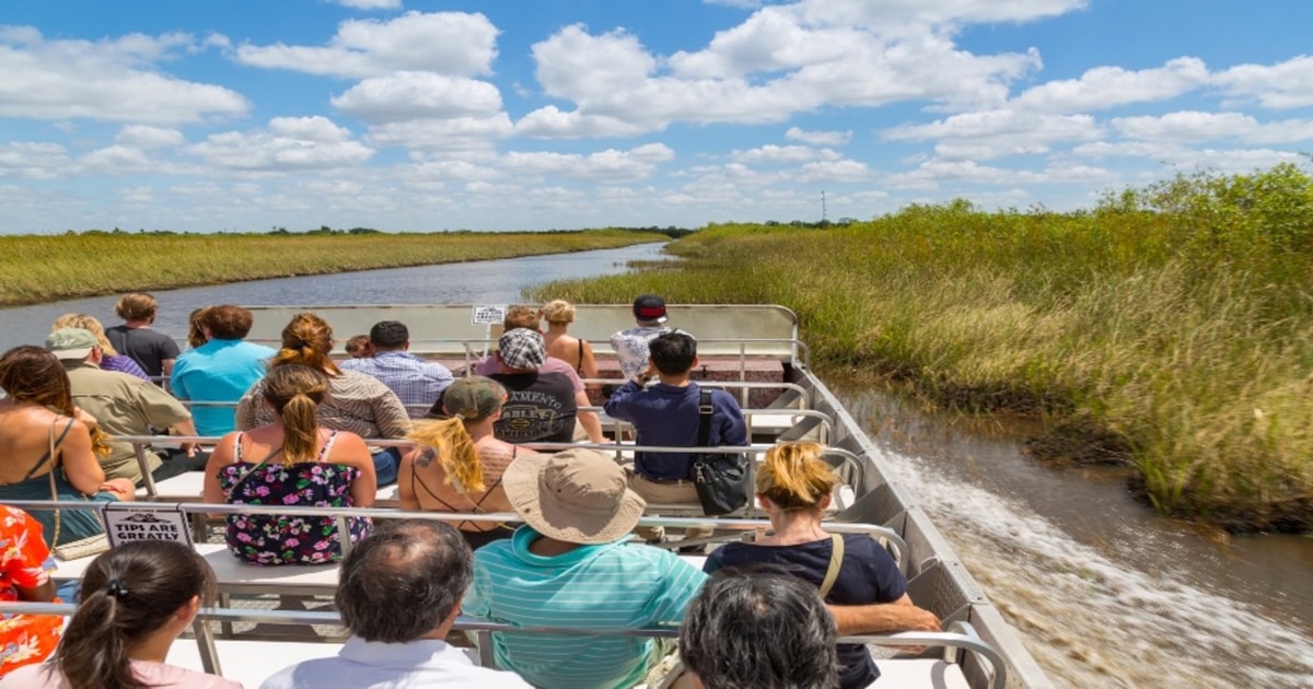 Miami: Small Group Everglades Express Tour with Airboat Ride | GetYourGuide