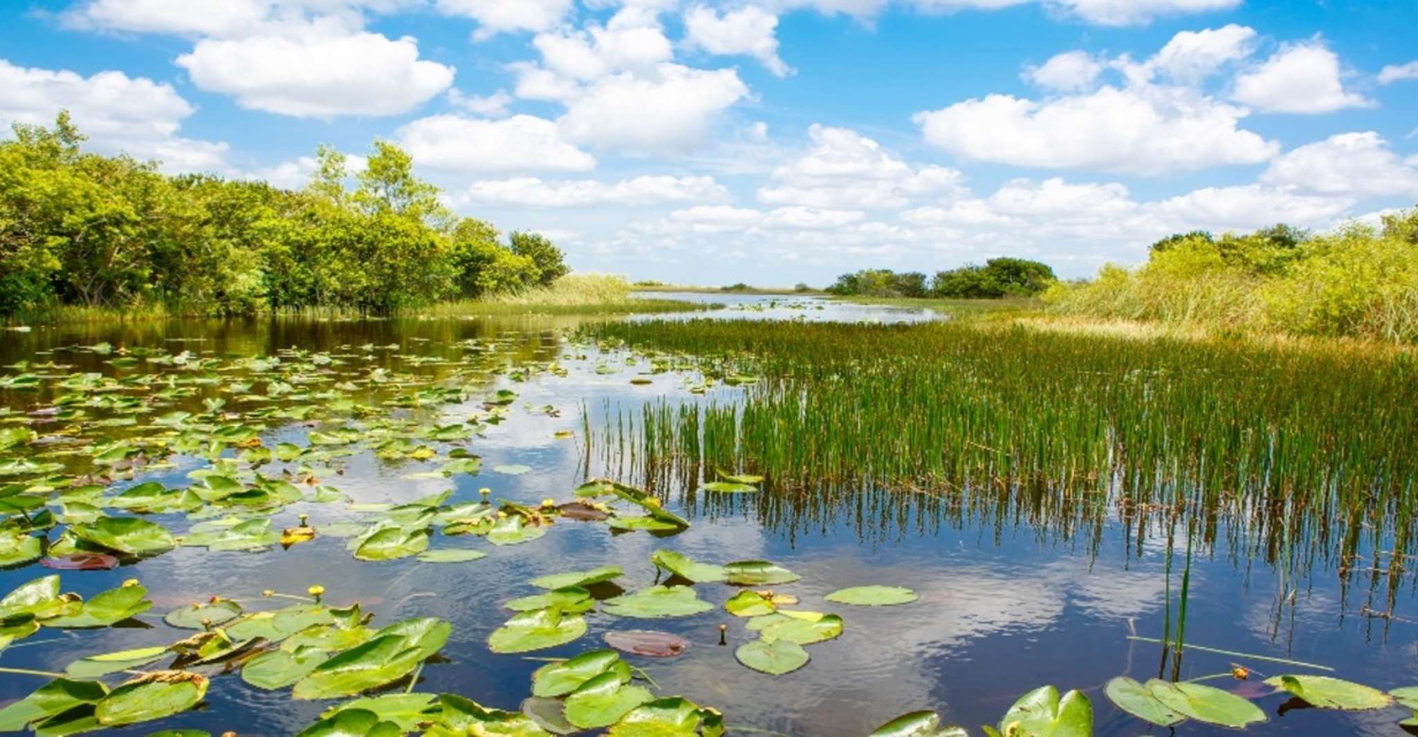Miami Everglades Express Airboat Ride photo 12