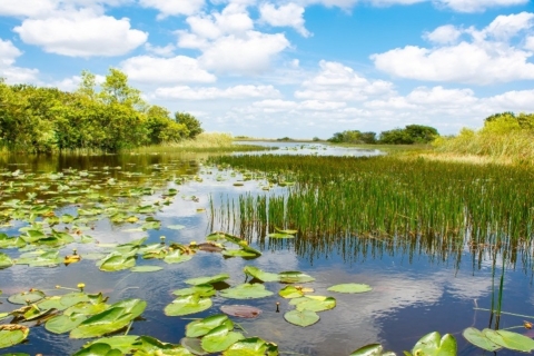 Miami : Excursion en petit groupe dans les Everglades avec promenade en canot pneumatique