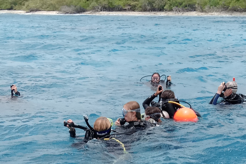 Boat Dive Jane Sea Shipwreck 1 Tanks